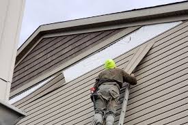 Best Fascia and Soffit Installation  in Great Falls, VA